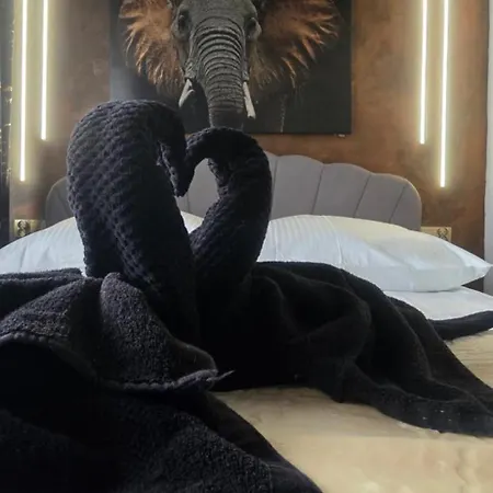 Czarna Perla * Rzeszow