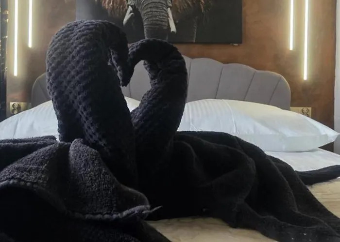 Czarna Perla * Rzeszow